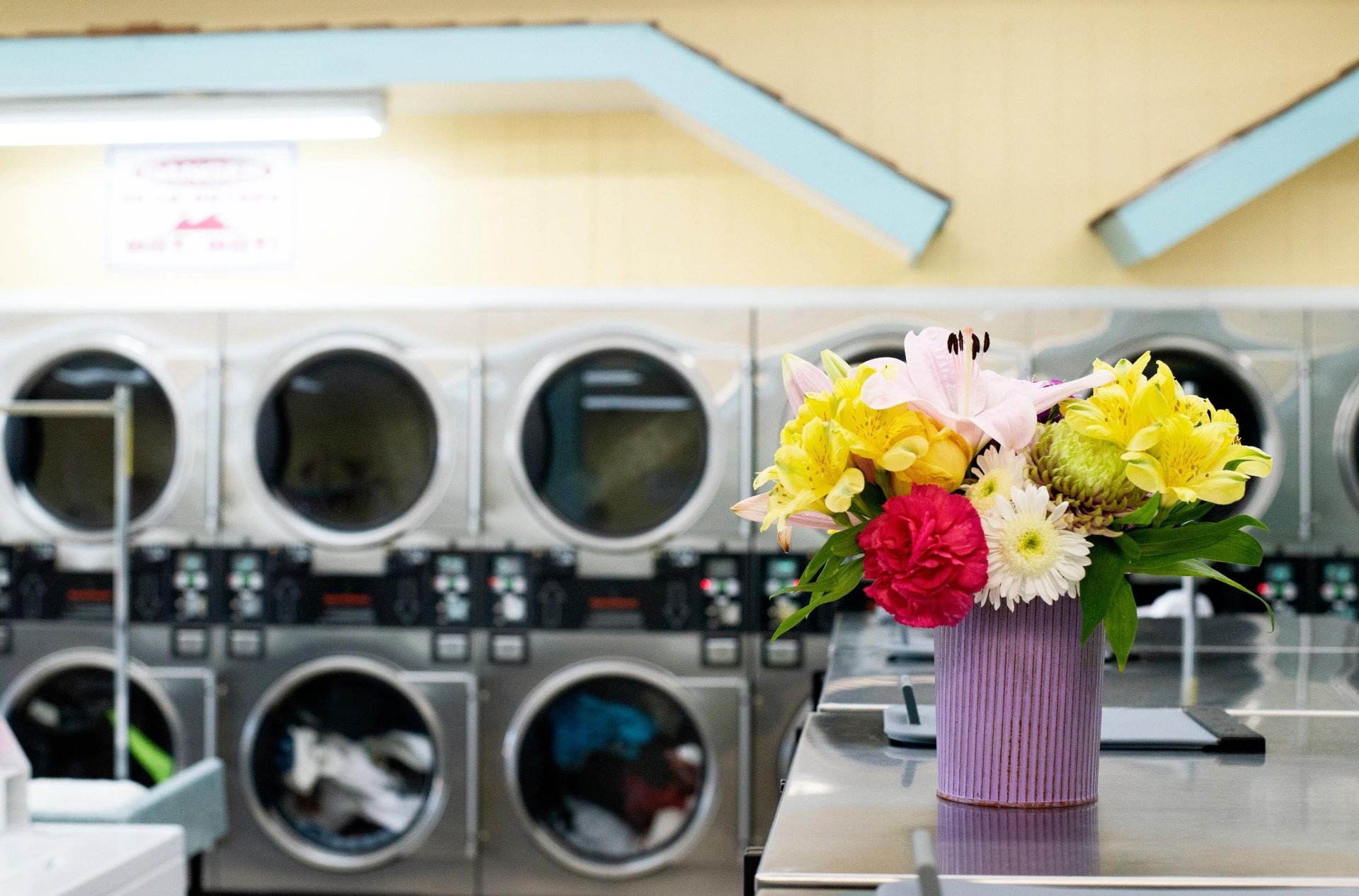 Fresh flowers on the folding counter in front of the dryers